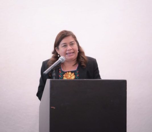 Belinda Iturbide propone ante el pleno promover inclusión laboral de personas con discapacidad